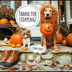 🧡🧡🧡🧡🧡🧡🧡🧡🧡🧡